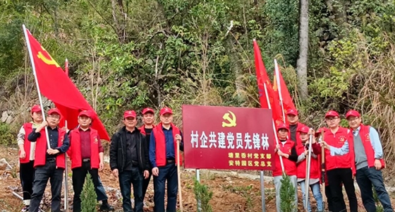 村企共建，共植先鋒林