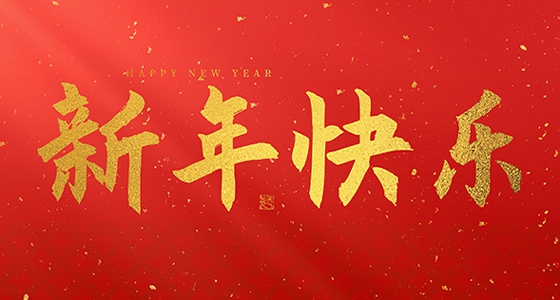 安特儀表集團(tuán)有限公司祝大家2025新年快樂！